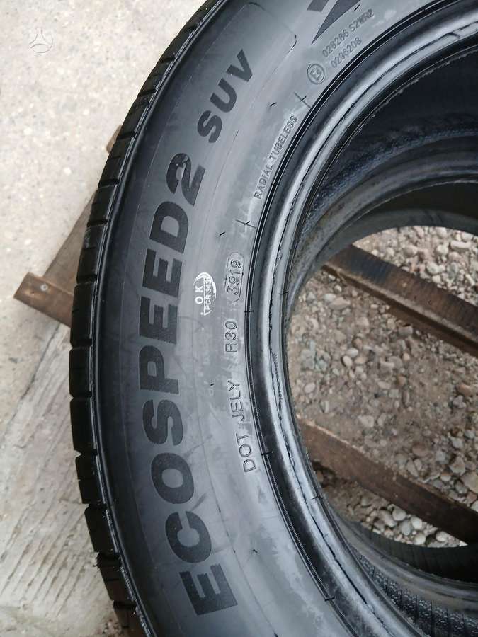Minerva, vasarinės 255/55 R18