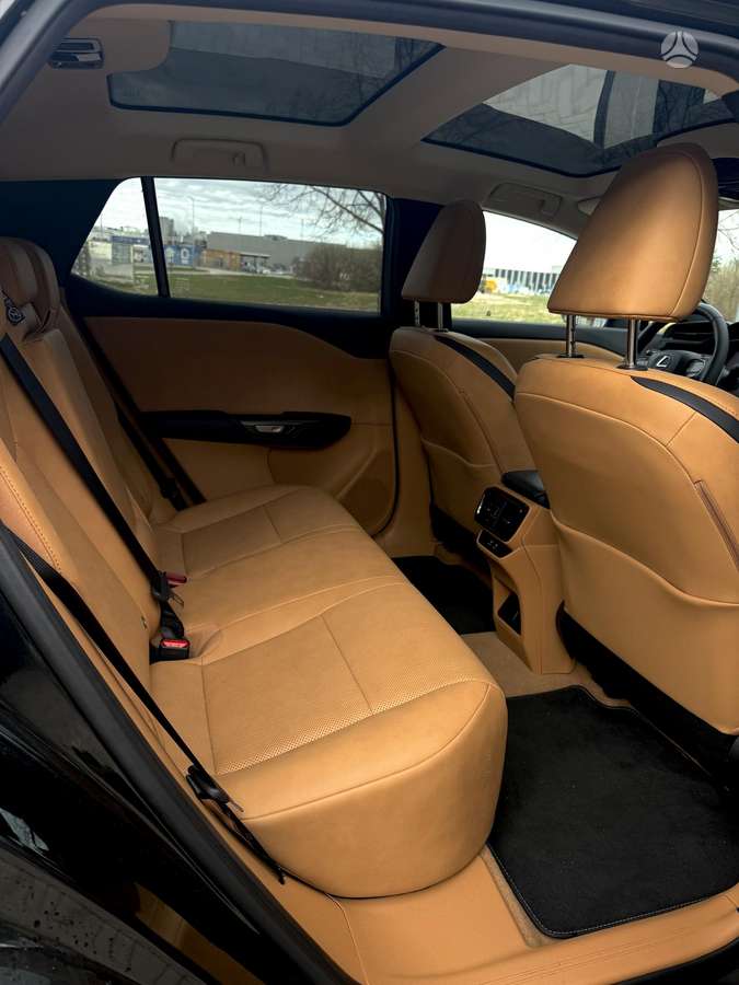 Lexus RZ 450e, off-road / crossover