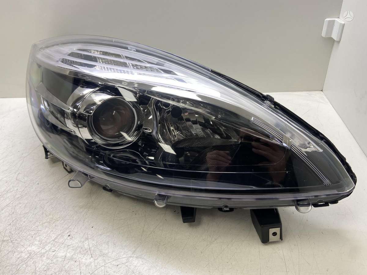 Renault Scenic, 2014019052, lights