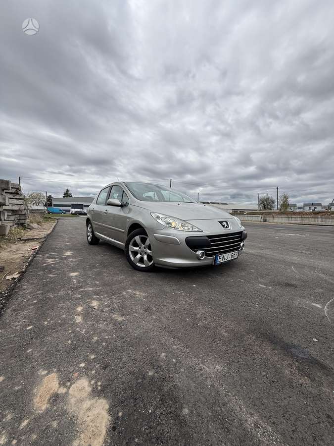 Peugeot 307, 1.6 l., hatchback