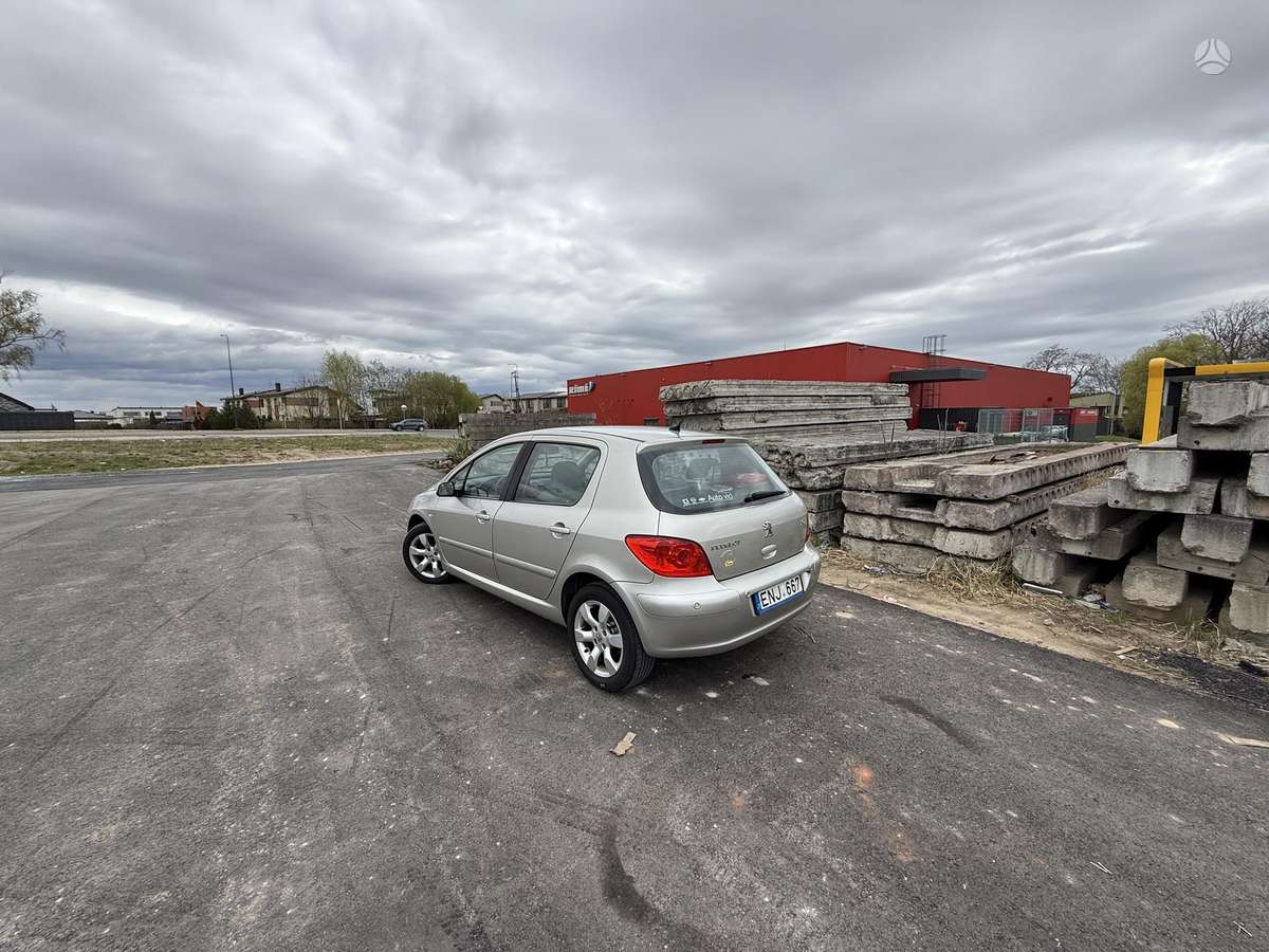 Peugeot 307, 1.6 l., hatchback