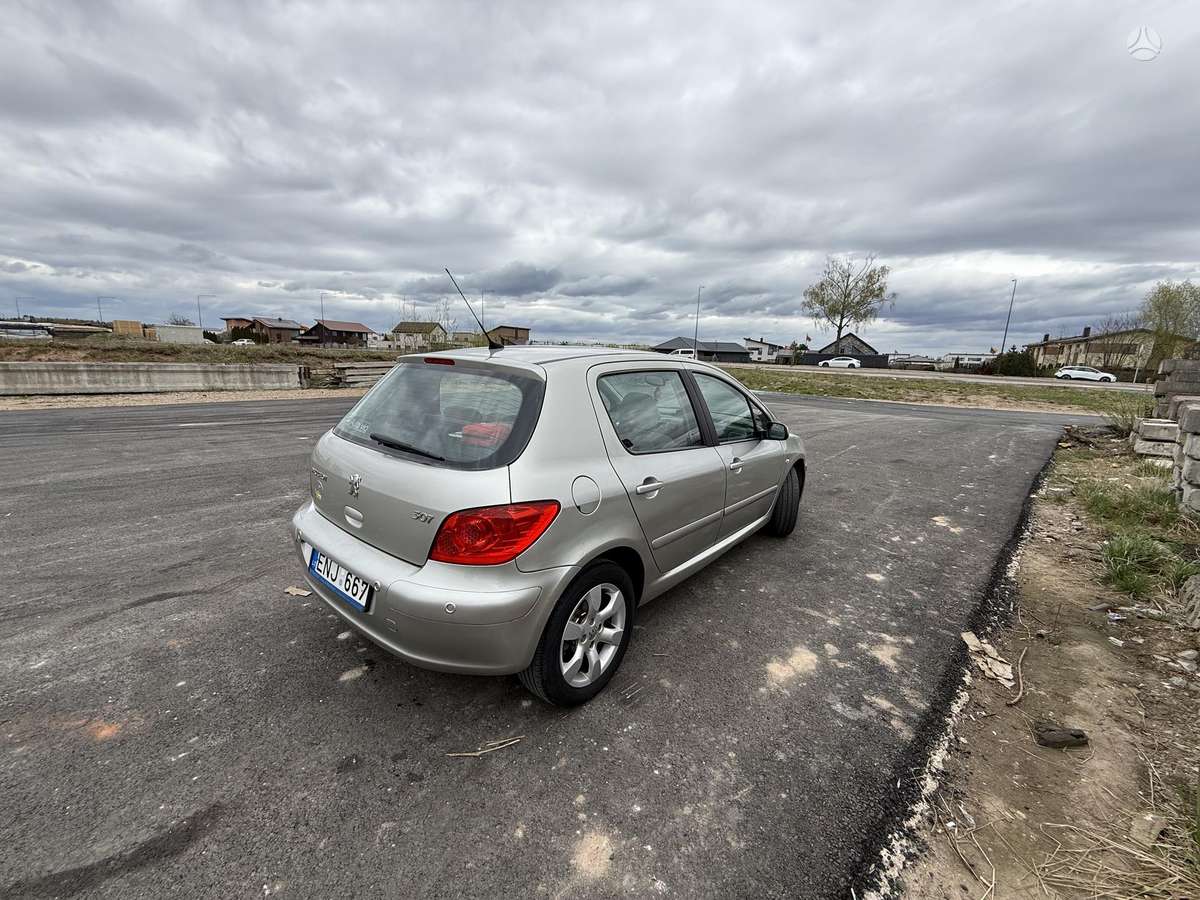 Peugeot 307, 1.6 l., hatchback