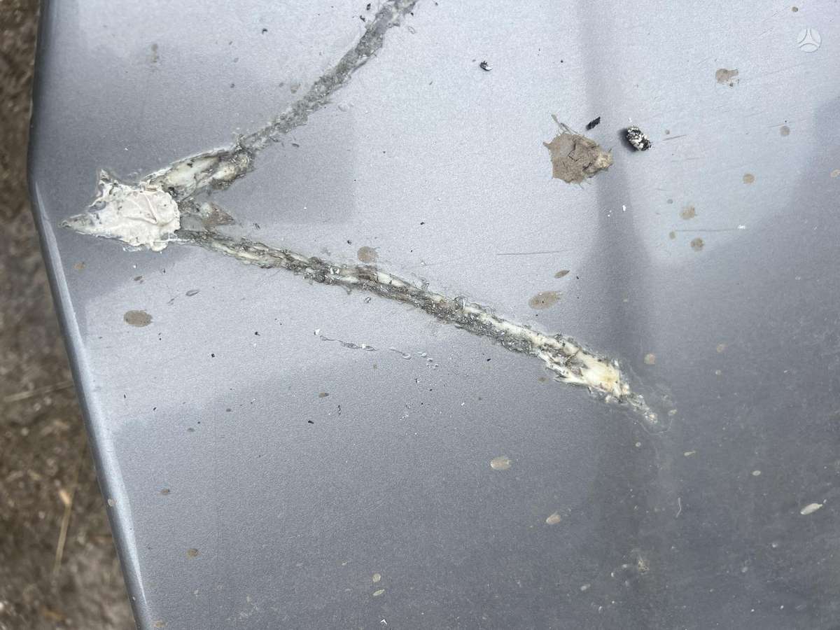 Nissan Navara for parts. Parduodamas visas ant dalių kėbulo defektai mu štas de