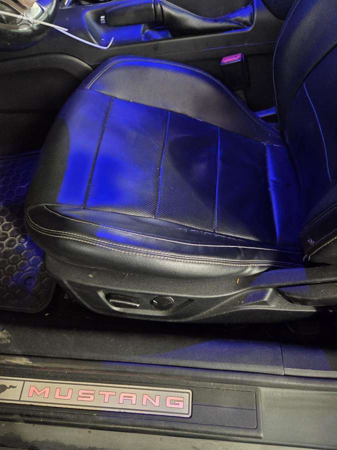 Ford Mustang Dalis siunčiame