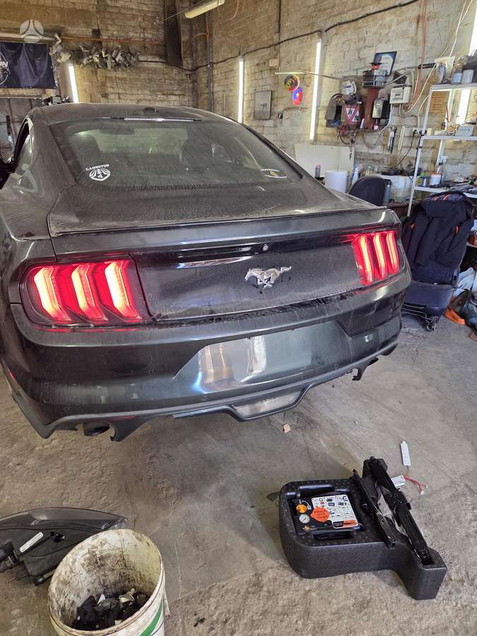 Ford Mustang Dalis siunčiame