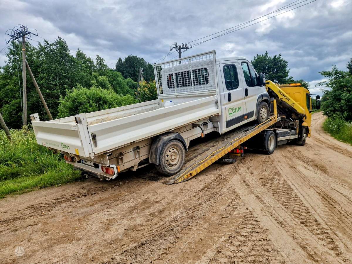 Renault Midlum, auto transporters