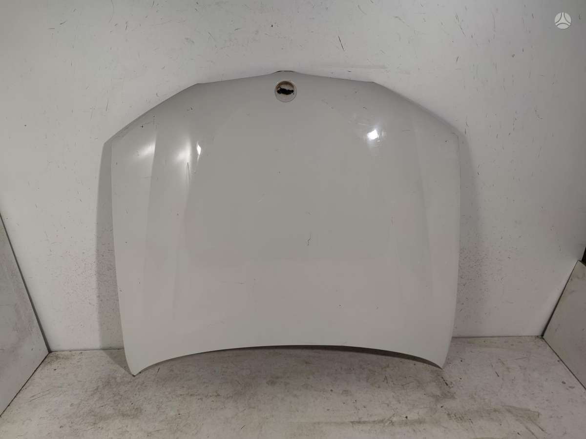 BMW X3, 7217309, hood (front, rear), lights