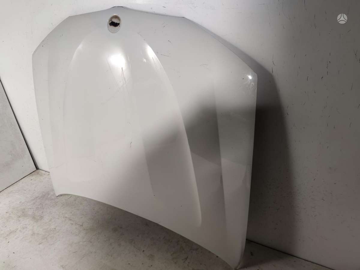 BMW X3, 7217309, hood (front, rear), lights