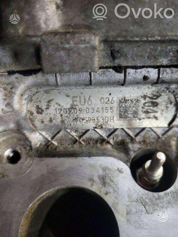Audi Q5, CAP, engine