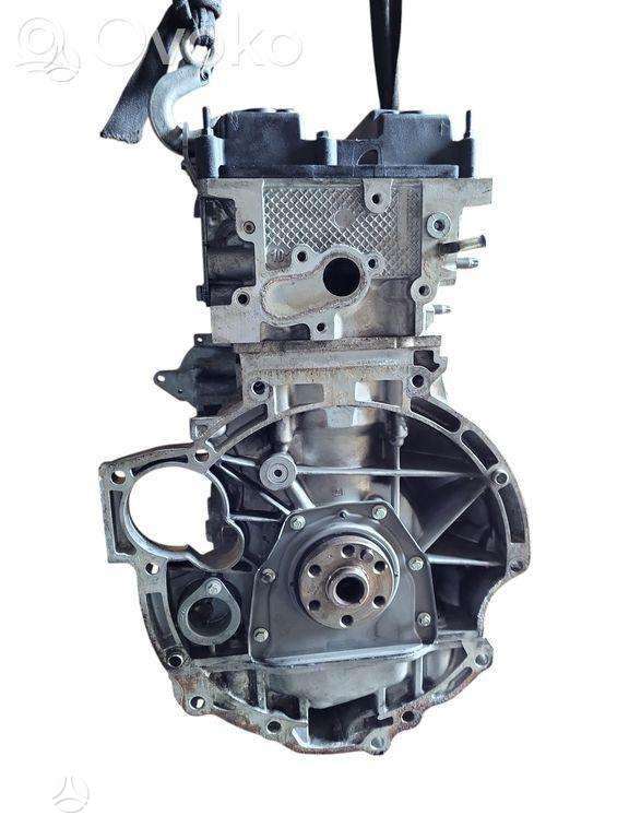 Ford Fiesta, FM148273, variklis