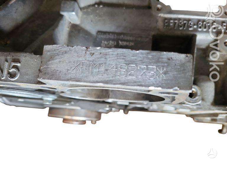 Ford Fiesta, FM148273, variklis