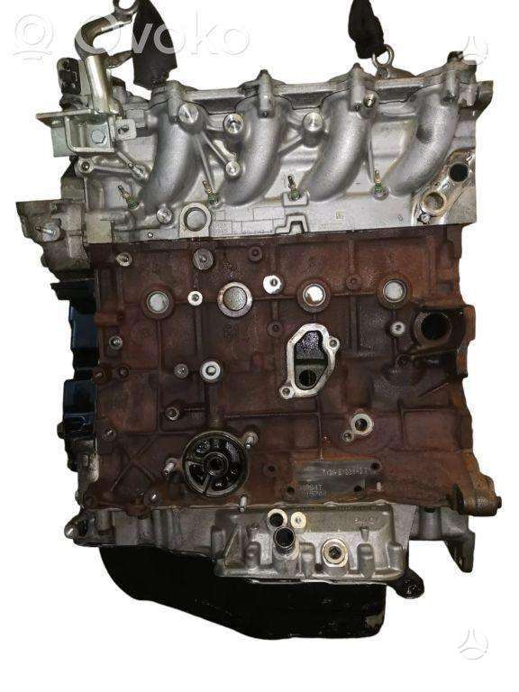 Ford Focus, TYDA, variklis