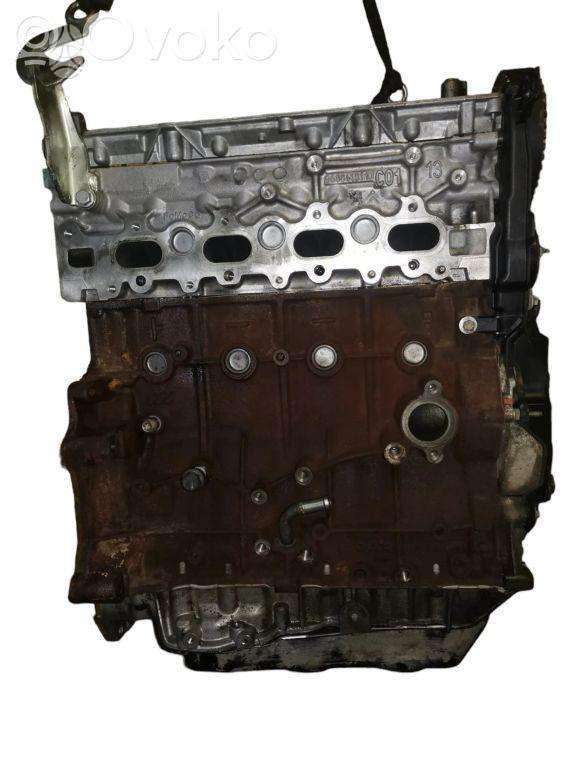 Ford Focus, TYDA, variklis
