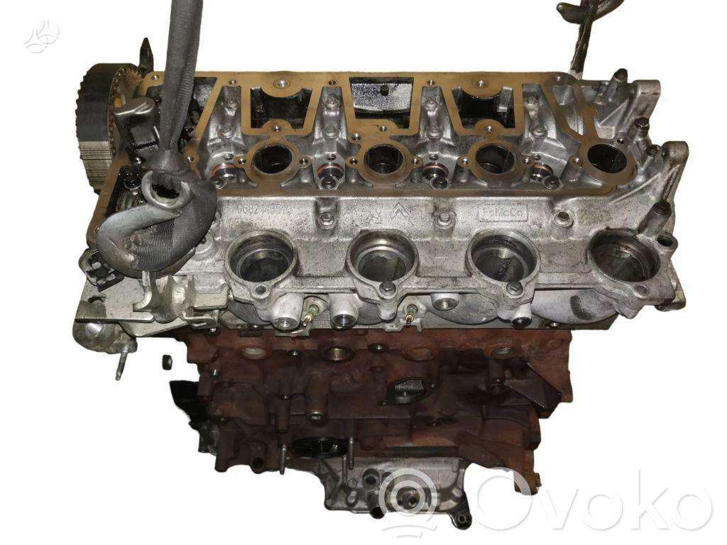 Ford Focus, TYDA, variklis