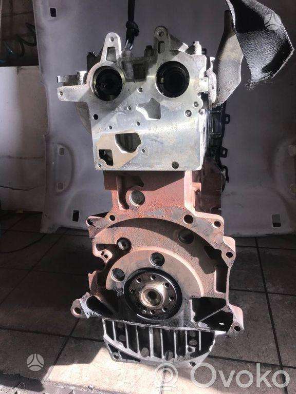 Ford Mondeo, AG9Q, variklis