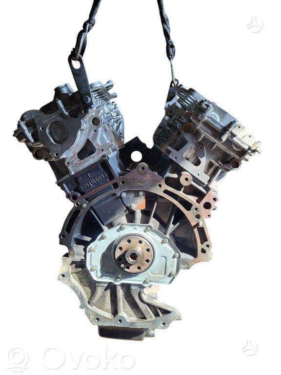 Nissan Navara, V9XA661, engine