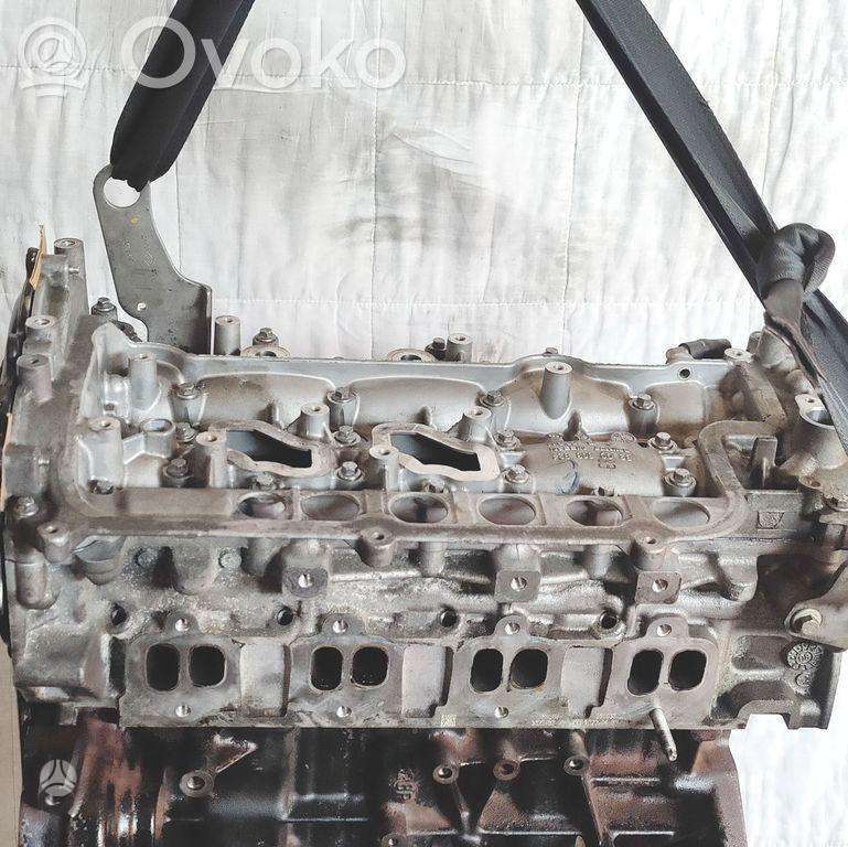 Renault Koleos, M9R866, двигатель