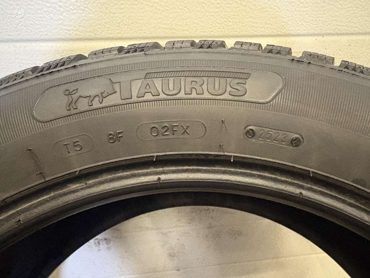 Taurus SUV WINTER, universalios 235/55 R19