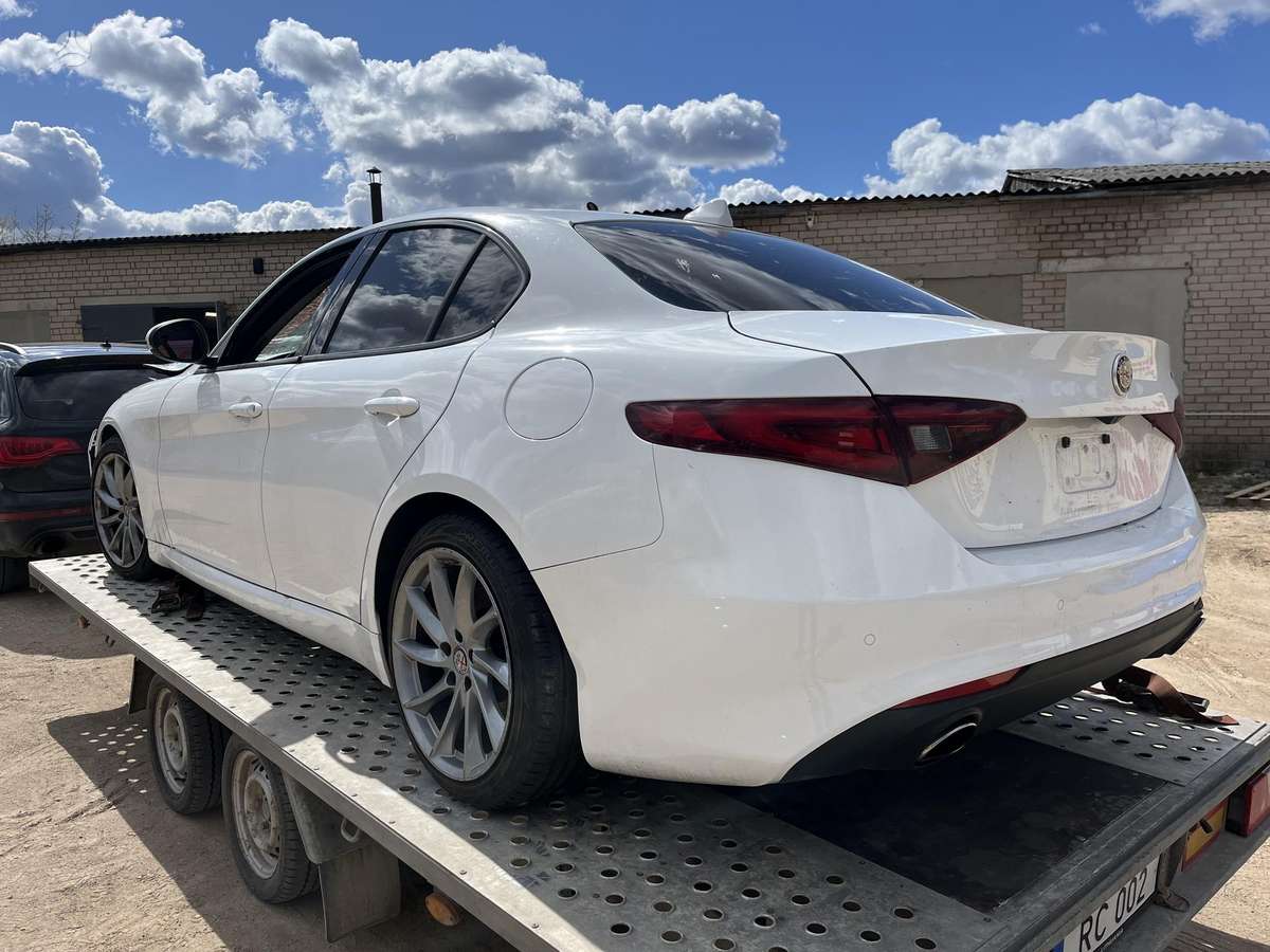 Alfa Romeo Giulia Spalva 217