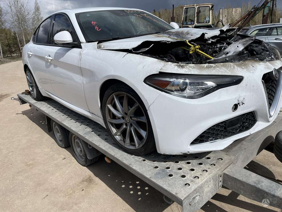 Alfa Romeo Giulia Spalva 217