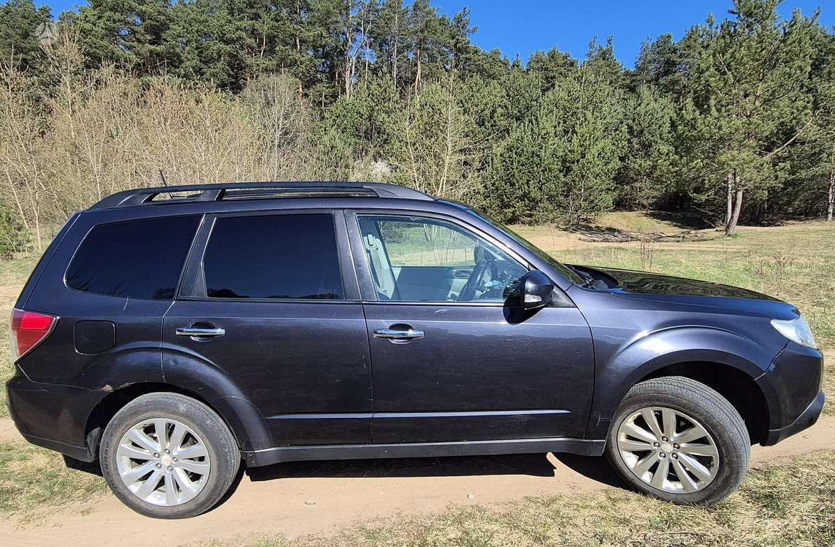 Subaru Forester - 7