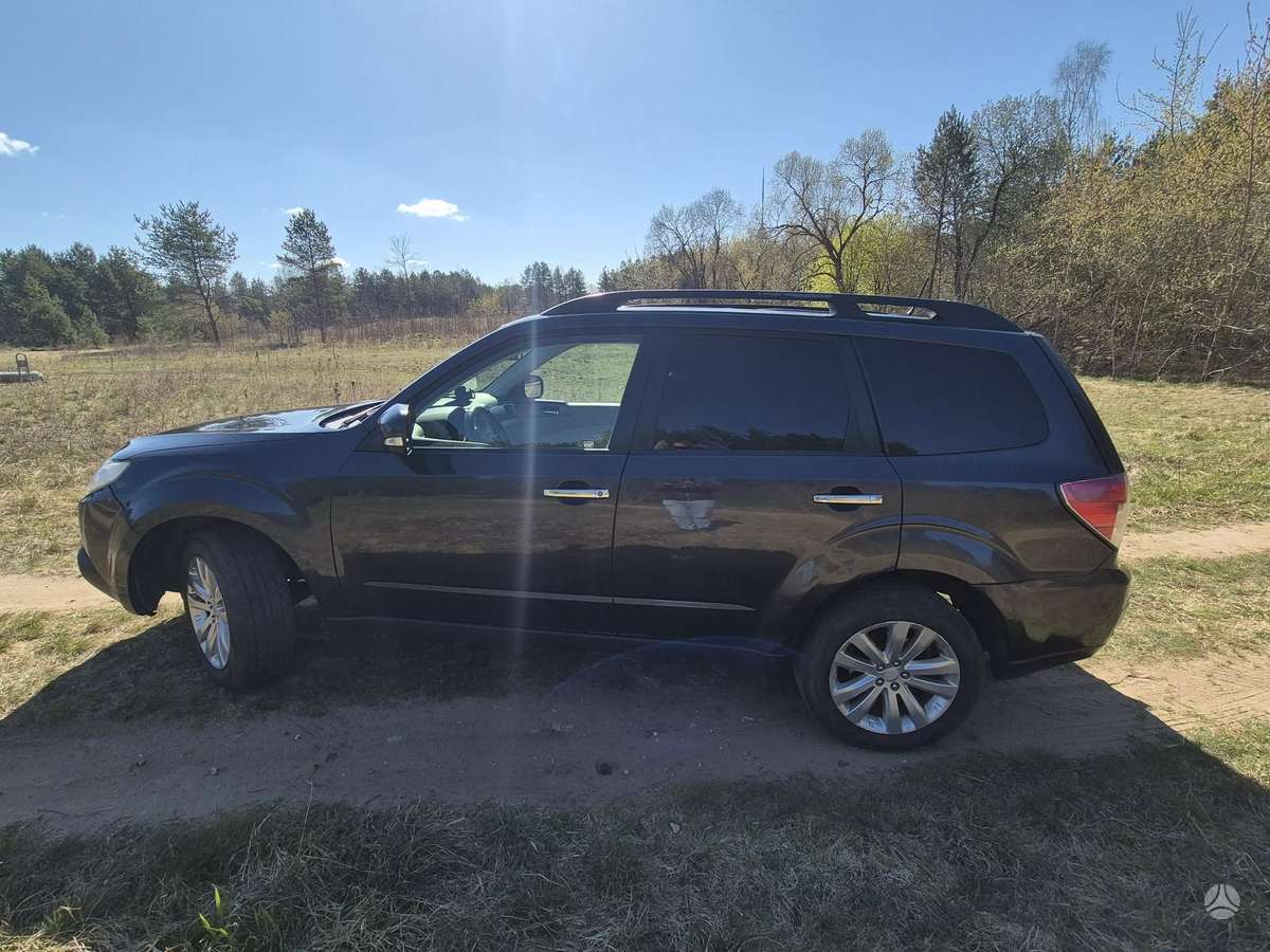 Subaru Forester - 9