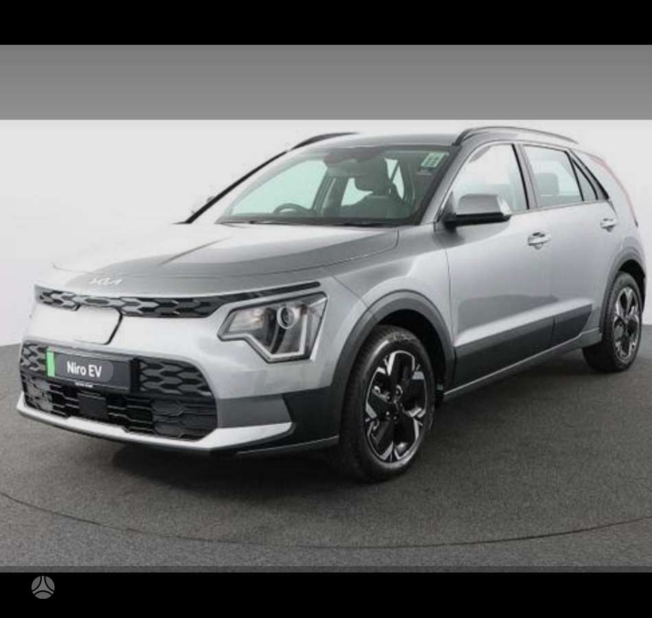 Kia Niro dalimis