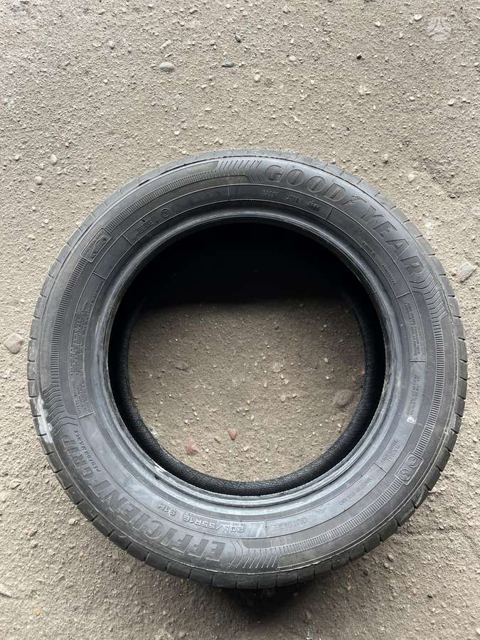 Goodyear EfficientGrip Performance 100%, vasarinės 205/60 R16