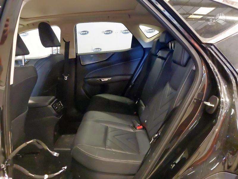 Lexus NX 450h+ по частям