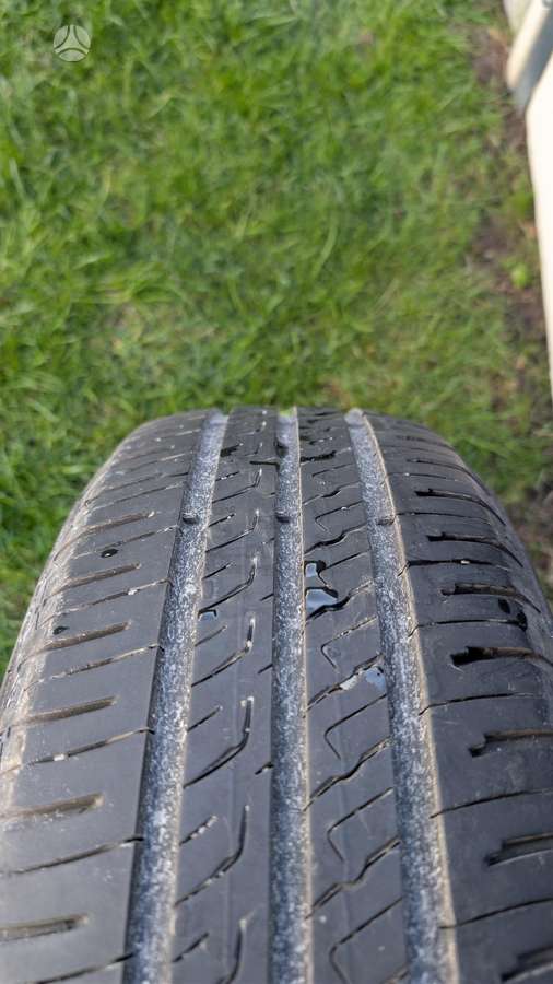 Barum, vasarinės 195/65 R15
