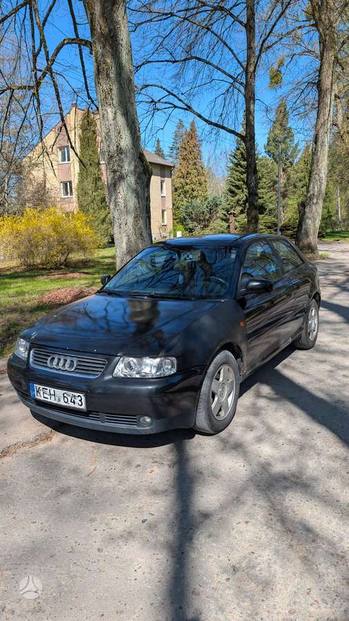 Audi A3, 1.9 l., hečbekas