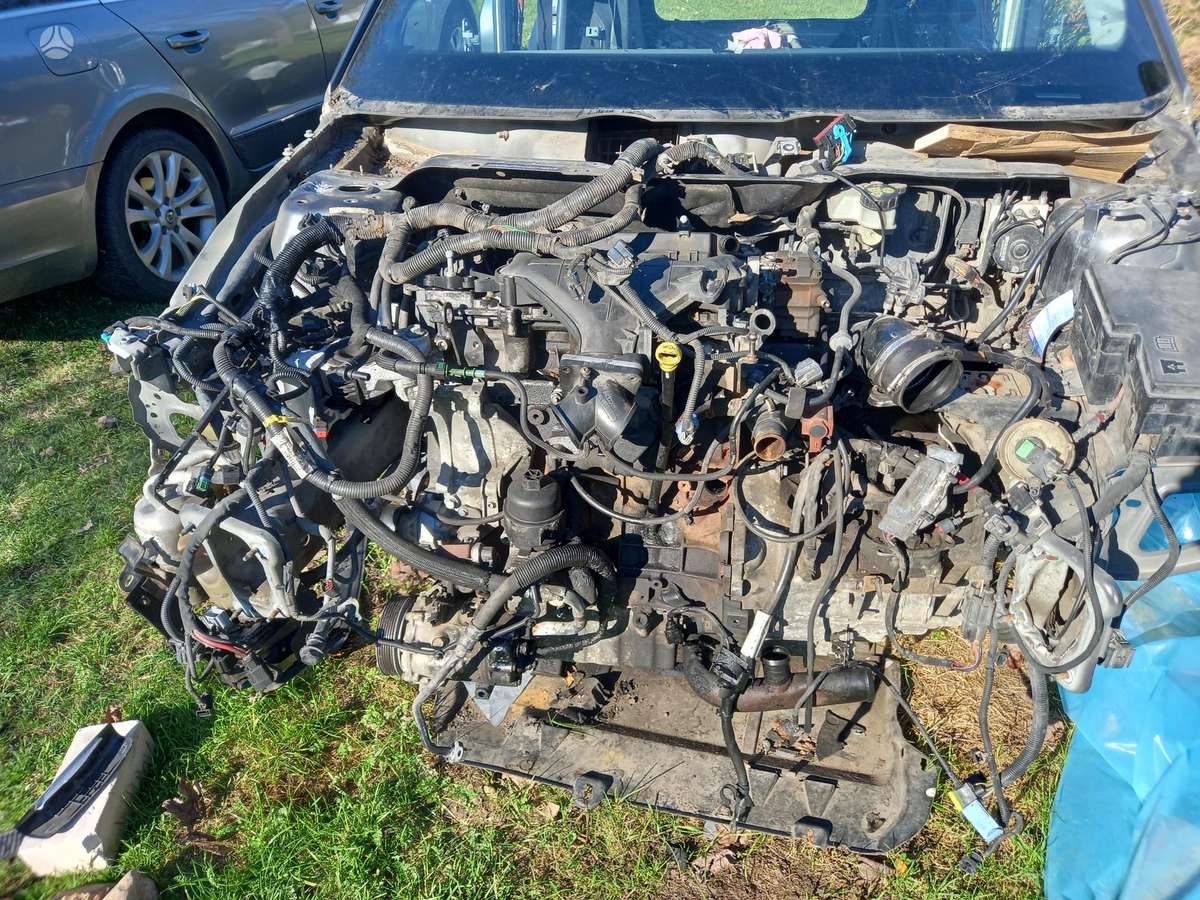 Volvo V50 Dalimis