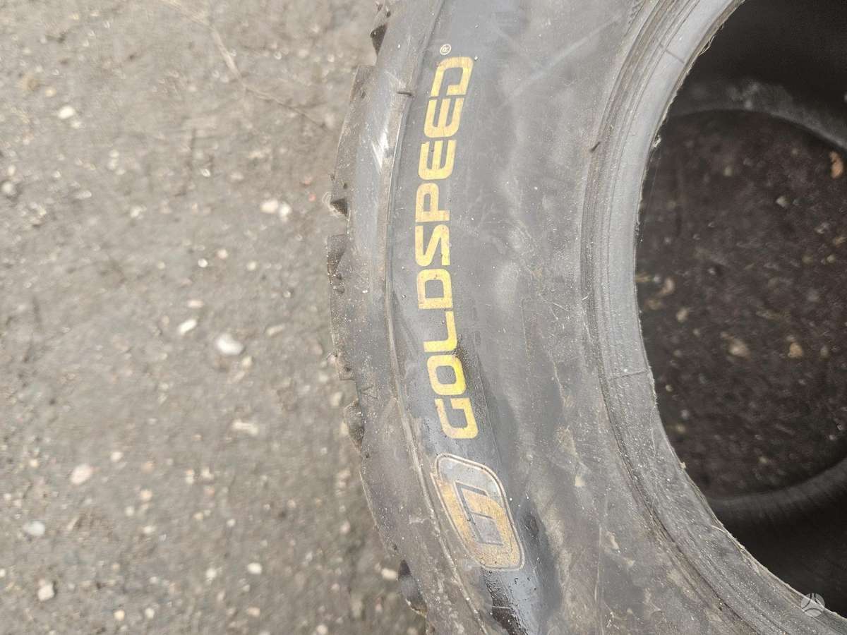Goldspeed, летние 2,25/30 R10