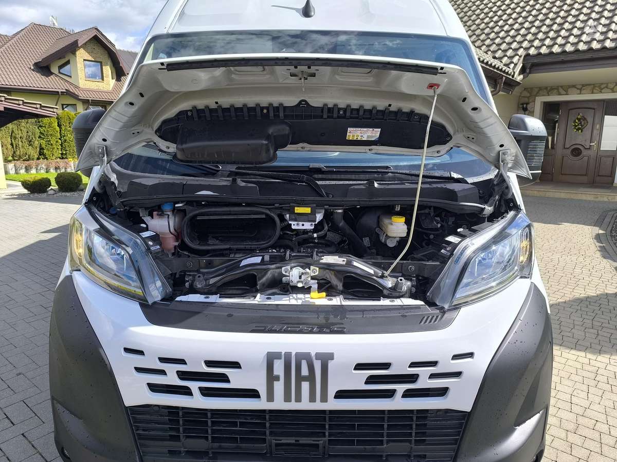 Fiat Ducato, cargo van
