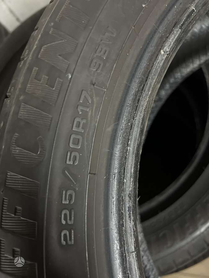 Goodyear EFFICIENT GRIP PERFORMANCE, vasarinės 225/50 R17