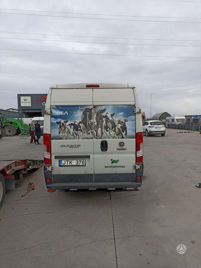 Fiat Ducato, commercial