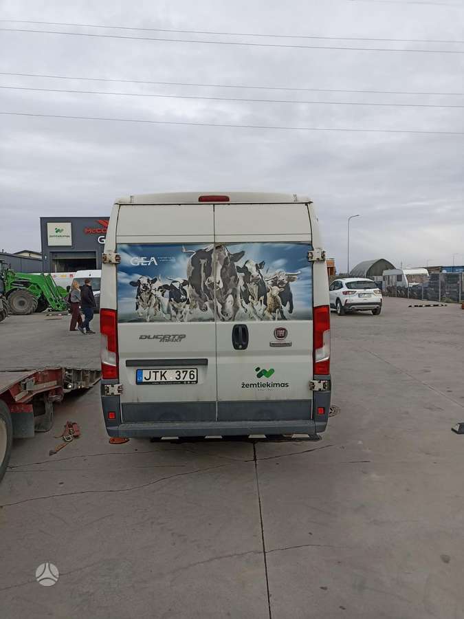 Fiat Ducato, komercinis