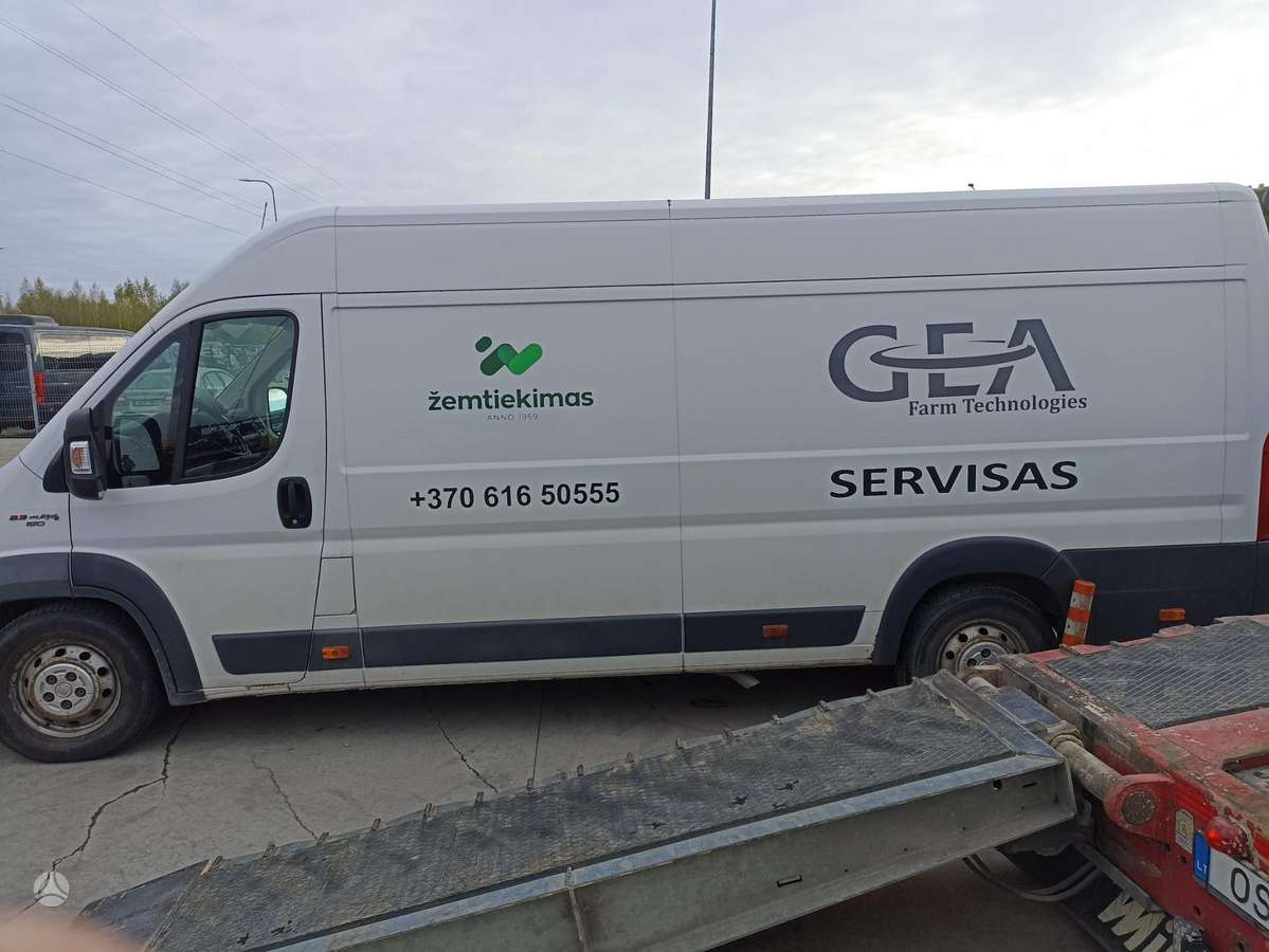 Fiat Ducato, commercial