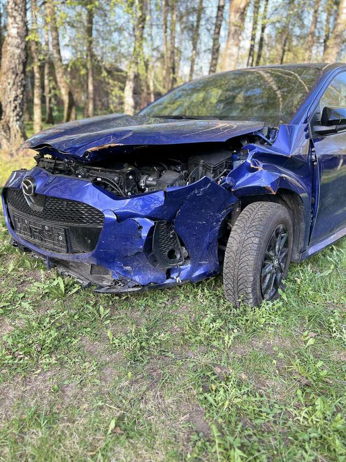 Mazda 2, 1.5 l., hatchback