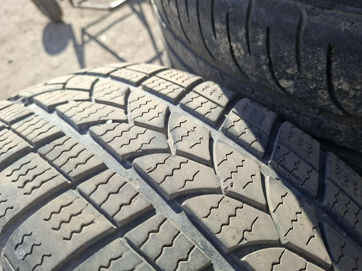 Kormoran, universalios 195/65 R15