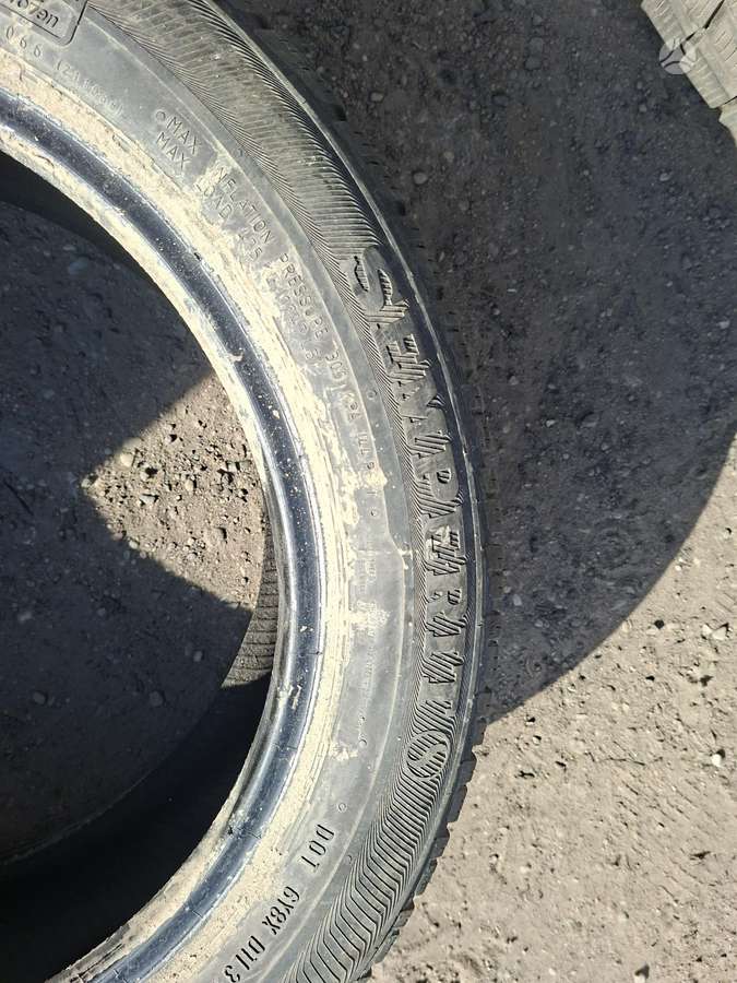 Semperit, vissezonas 185/55 R15