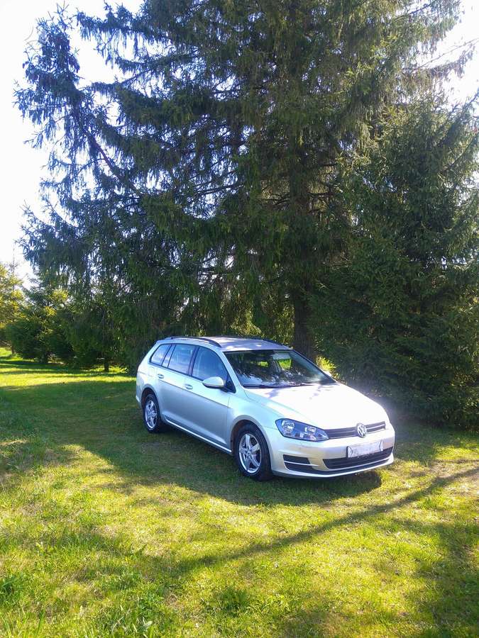 Volkswagen Golf - 1