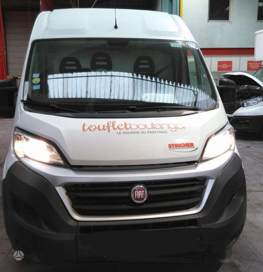 Fiat Ducato, cargo vans