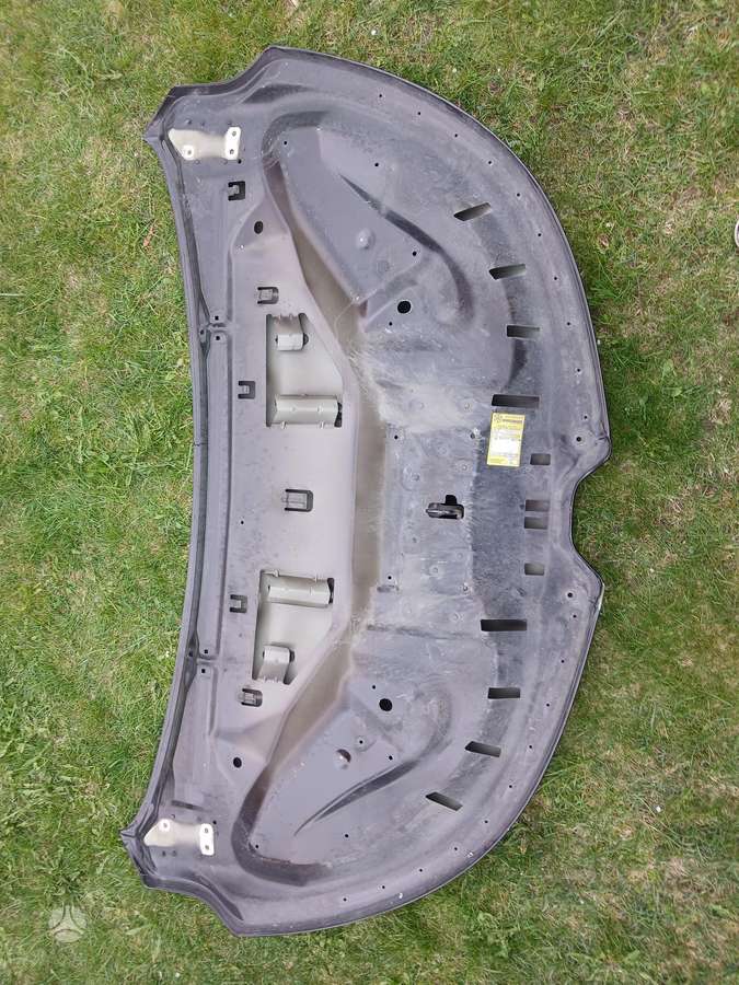 Renault Espace dangtis (priekinis, galinis)