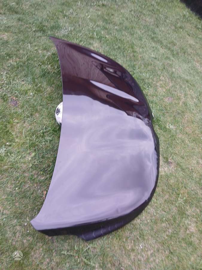 Renault Espace hood (front, rear)