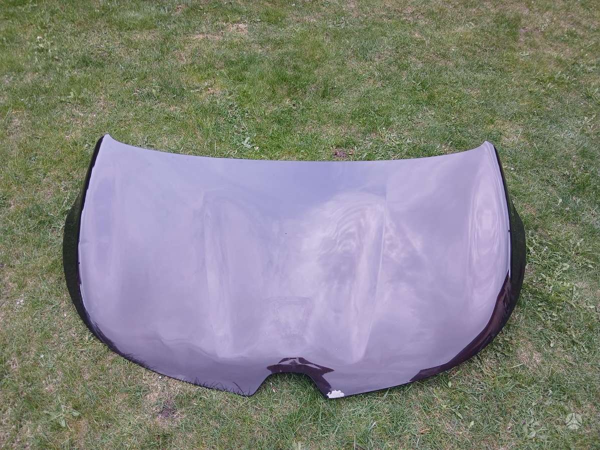 Renault Espace dangtis (priekinis, galinis)