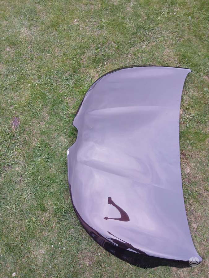 Renault Espace hood (front, rear)