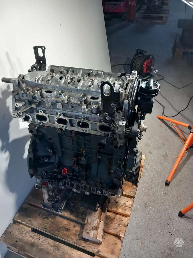 Nissan Navara, Ys23d276, двигатель