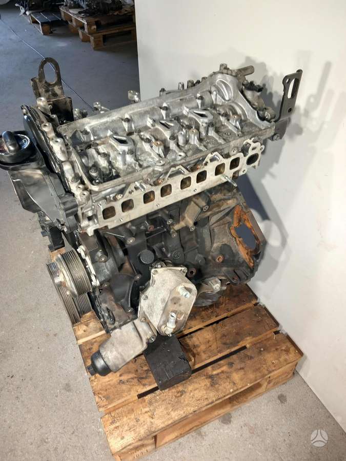 Nissan Navara, Ys23d276, engine