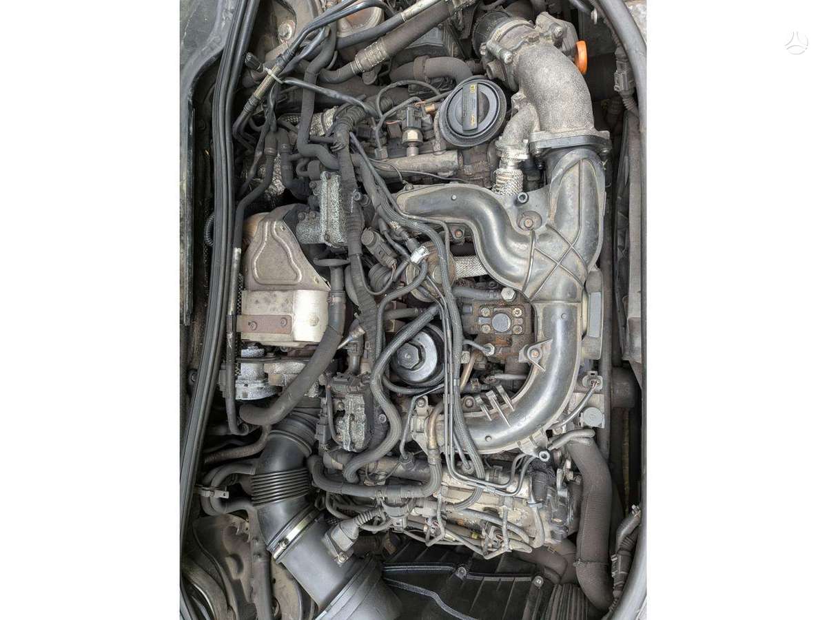 Audi A8 variklis